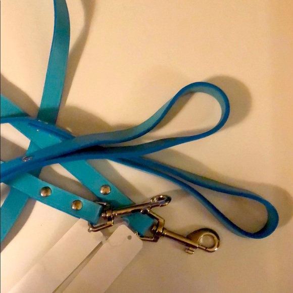 Turquoise leather dog leash 4”long silver accents - Picture 2 of 7